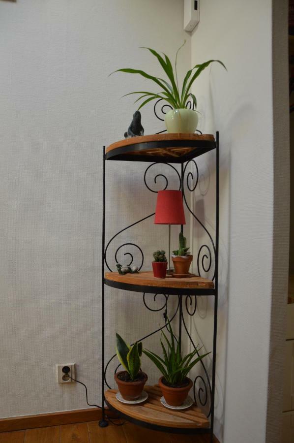 'T Bloemetje Apartment ตอร์เฮาท์ ภายนอก รูปภาพ